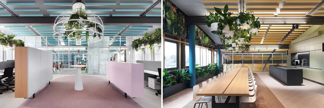 °ì¹«ÇøÓò×°ÐÞÉè¼Æ